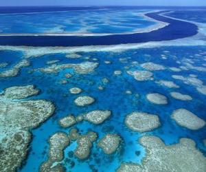 пазл Большой Барьерный риф, коралловые рифы во всем мире крупнейшим. Австралия.